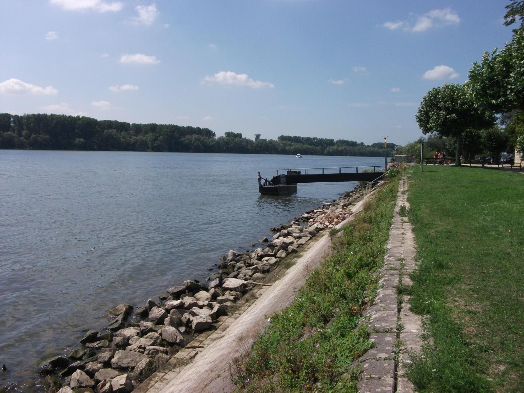 Hotel Zum Neuen Schwan Walluf Esterno foto